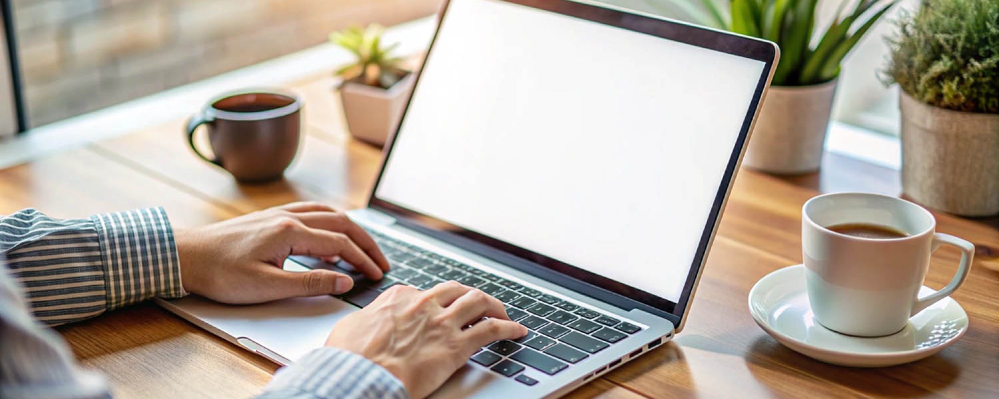 Person working on laptop computer with blank screen, coffee, plants, and sunlight.